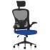 Master Executive Head Rest Mesh Office Chair Master Executive Head Rest Mesh Office Chair