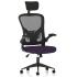 Master Executive Head Rest Mesh Office Chair Master Executive Head Rest Mesh Office Chair