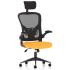 Master Executive Head Rest Mesh Office Chair Master Executive Head Rest Mesh Office Chair