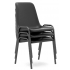 Polly Fast Track Poly Chair