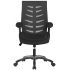 Celeste 24 Hour Bariatric Office Chair with Arms Celeste 24 Hour Bariatric Office Chair with Arms